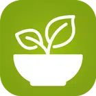 Healthy Eating Recipes