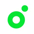 icon-4684.webp 멜론(Melon) - Image 1