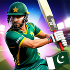 Pakistan Cricket Legends Game