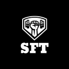 sft training