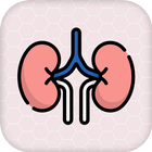 Renal Physiology